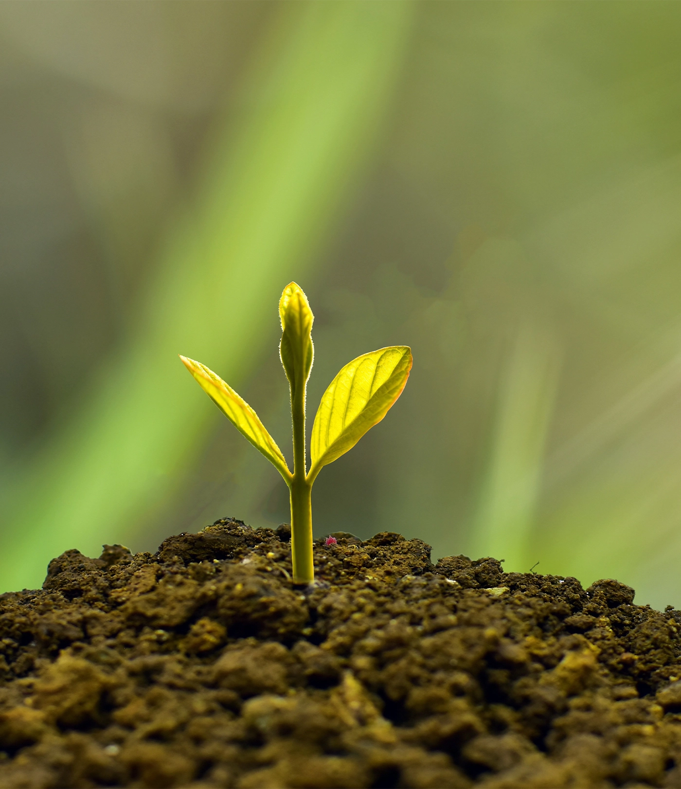 benefits of fentanyl addiction treatment