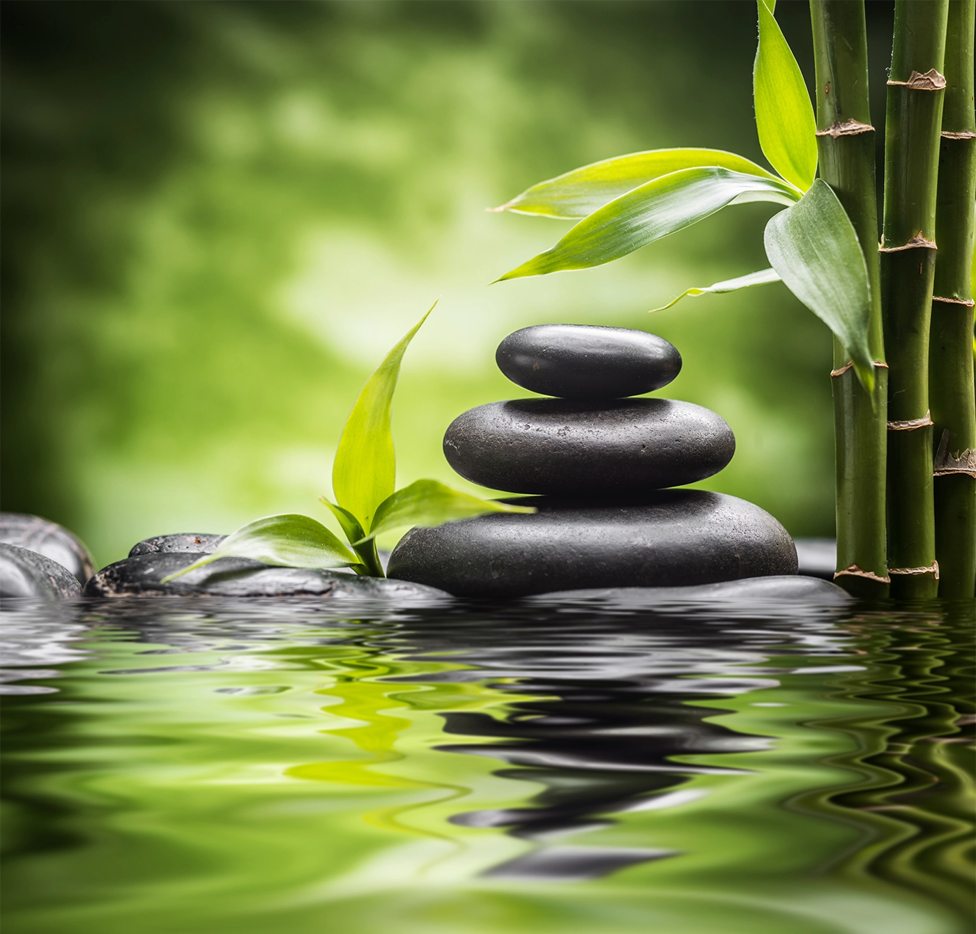 zen basalt stones and bamboo