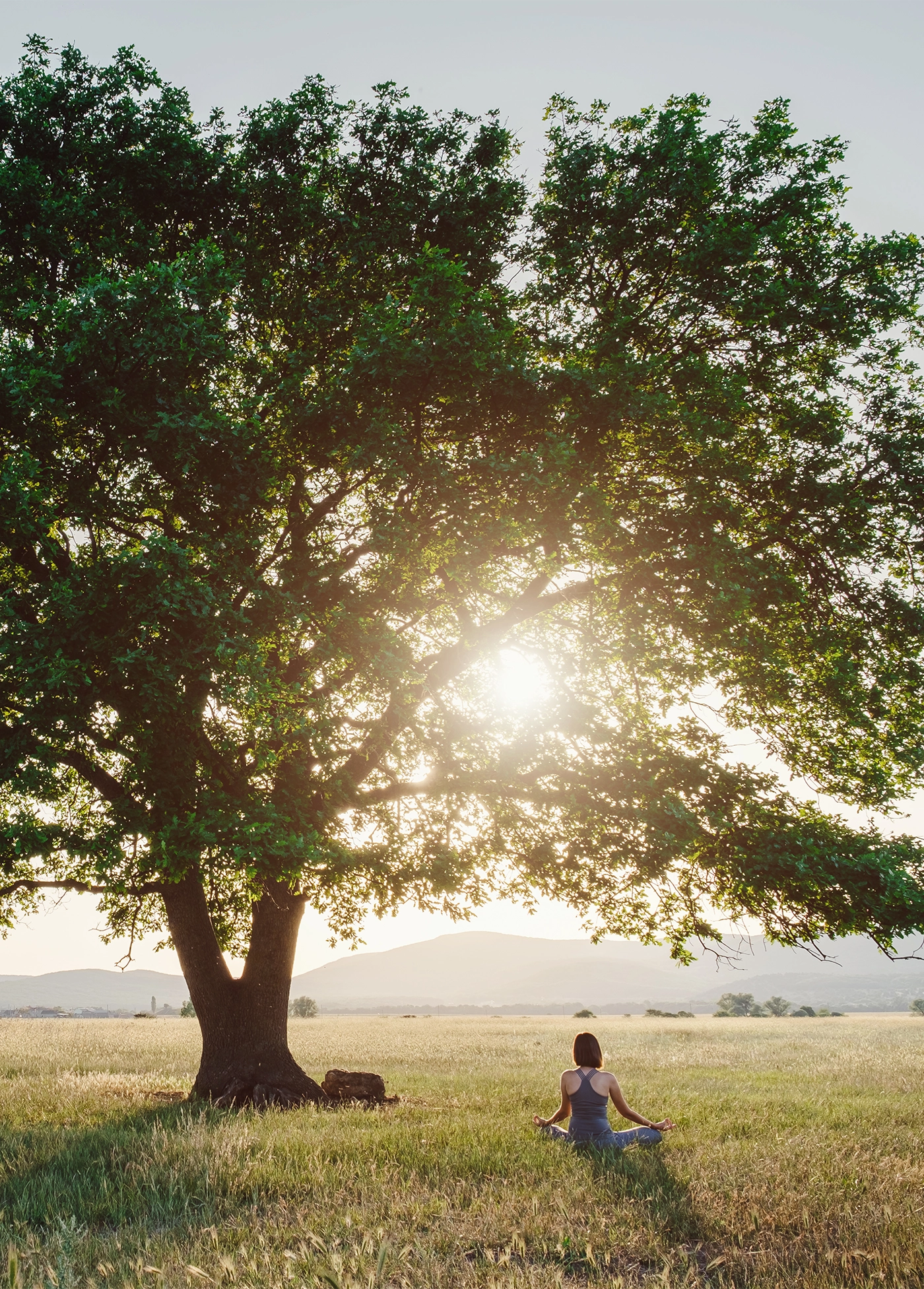 Attractive woman practices yoga in nature in summer. Healthy lifestyle. Fitness and sport. outdoor harmony with nature, calm scene
