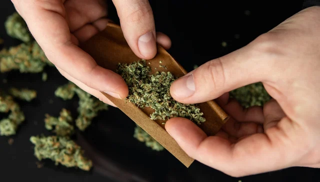 Close up of addict lighting up marijuana joint with lighter. Pot use concept. Man rolling a marijuana joint. Close up. Man preparing and rolling marijuana cannabis joint.