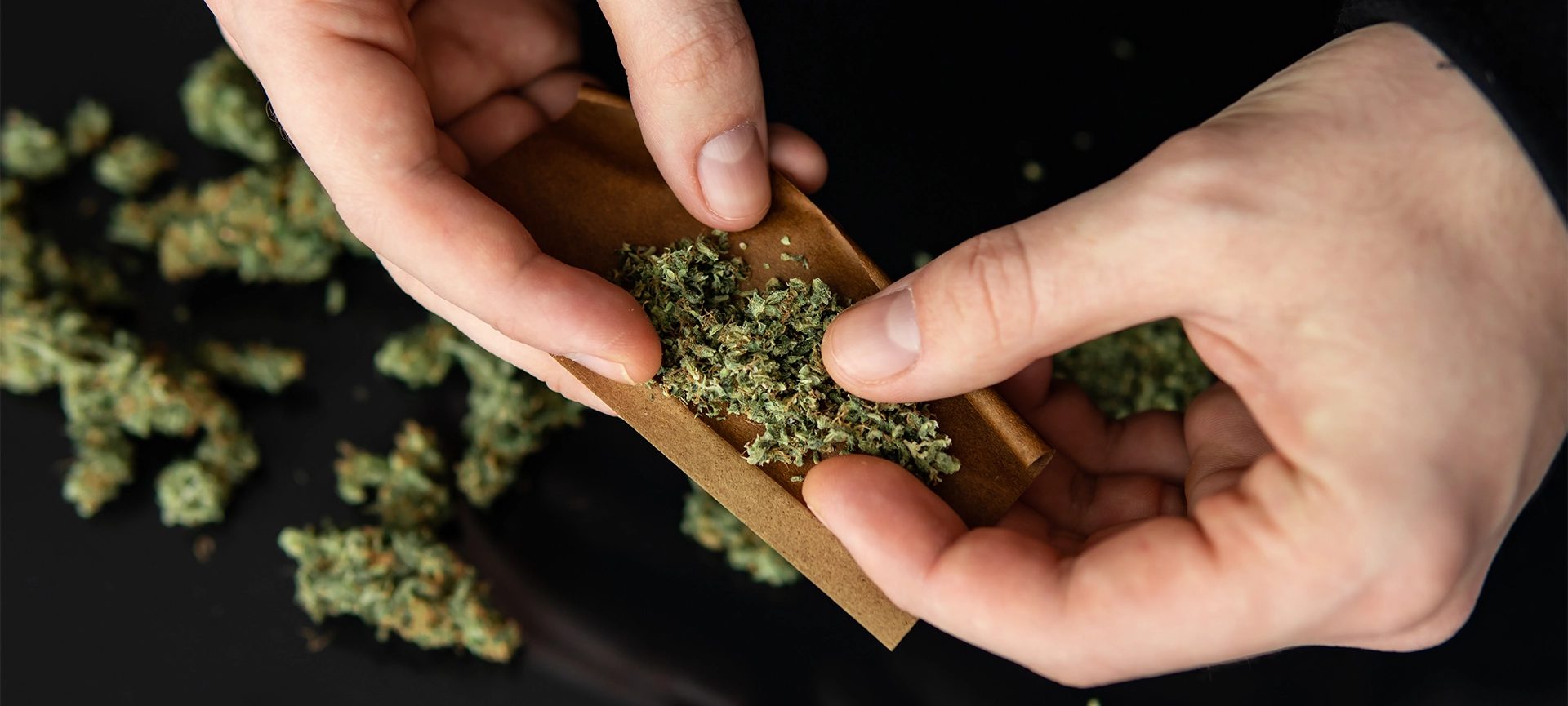 Close up of addict lighting up marijuana joint with lighter. Pot use concept. Man rolling a marijuana joint. Close up. Man preparing and rolling marijuana cannabis joint.