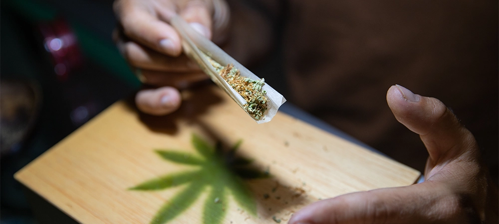 Close-up of the hands of a boy who is rolling a joint of marijuana. Focus on the marijuana
